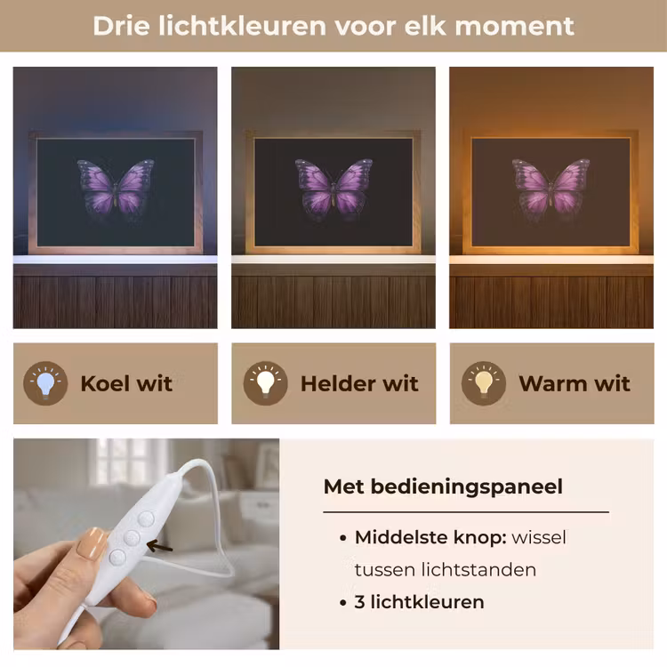 Tafellamp - Vlinder - Paars - Levendig — 6