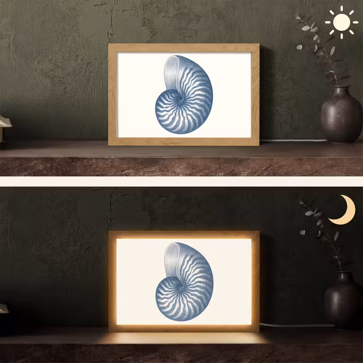 Tafellamp - Blauw - Schelp - Spiraal — 5