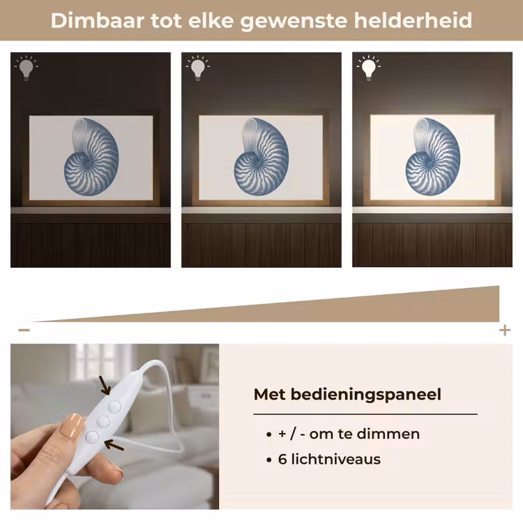 Tafellamp - Blauw - Schelp - Spiraal — 8