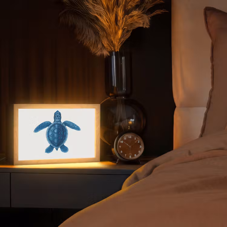Tafellamp - Schildpad - Blauw - Schild — 2