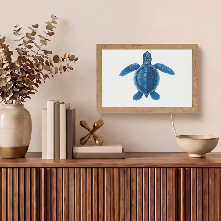 Tafellamp - Schildpad - Blauw - Schild — 3