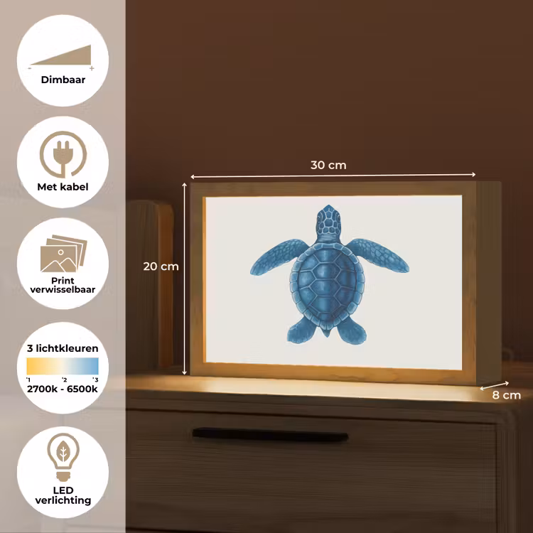 Tafellamp - Schildpad - Blauw - Schild — 7