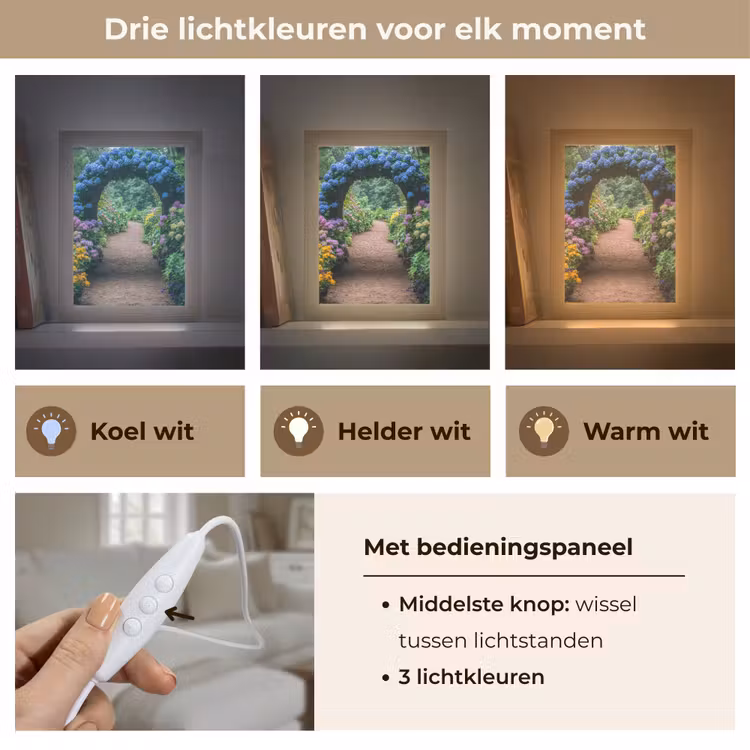 Tafellamp - Doorkijk - Bloemen - Hortensia - Pad — 6