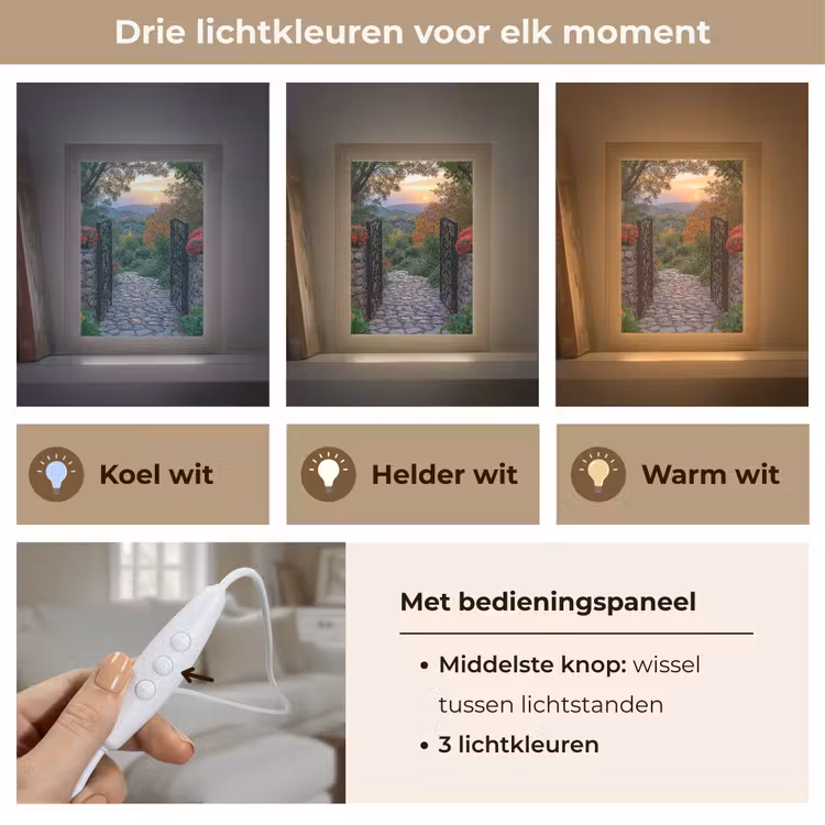 Tafellamp - Landschap - Hek - Pad - Zonsondergang - Natuur — 6