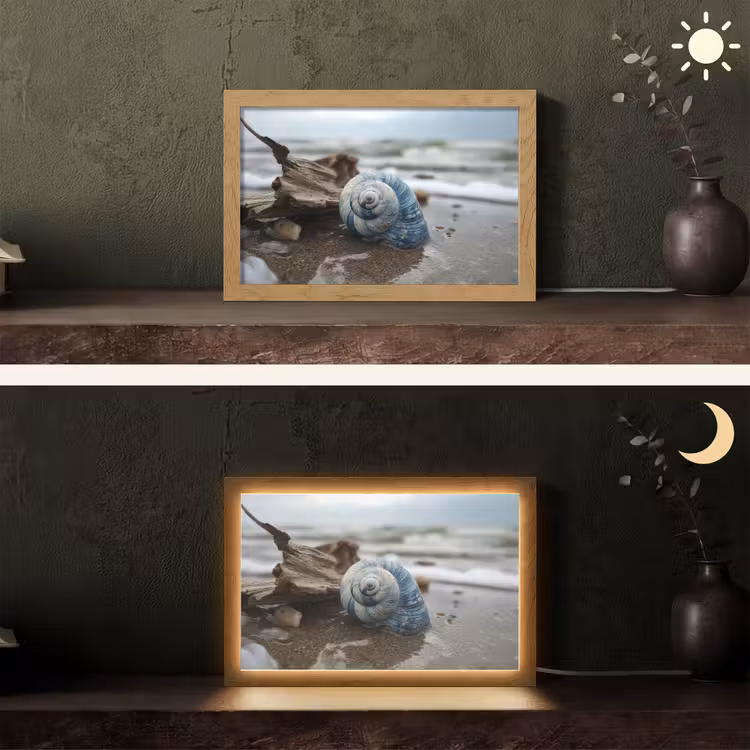 Tafellamp - Schelp - Strand - Blauw - Zee — 5