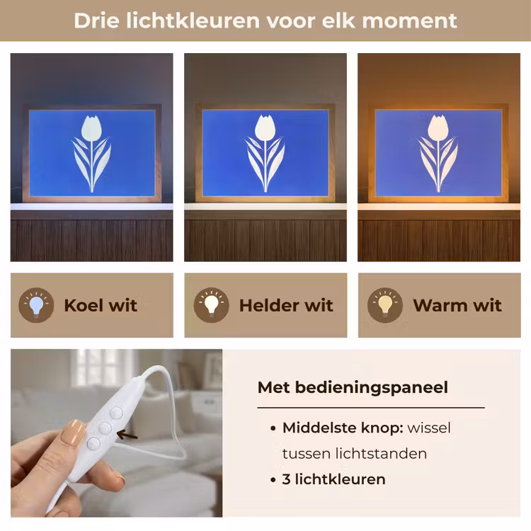 Tafellamp - Tulp - Minimalistisch - Bladeren - Wit — 6