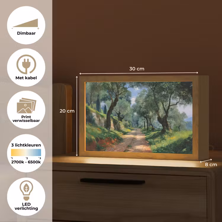 Tafellamp - Pad - Bomen - Schaduw - — 7