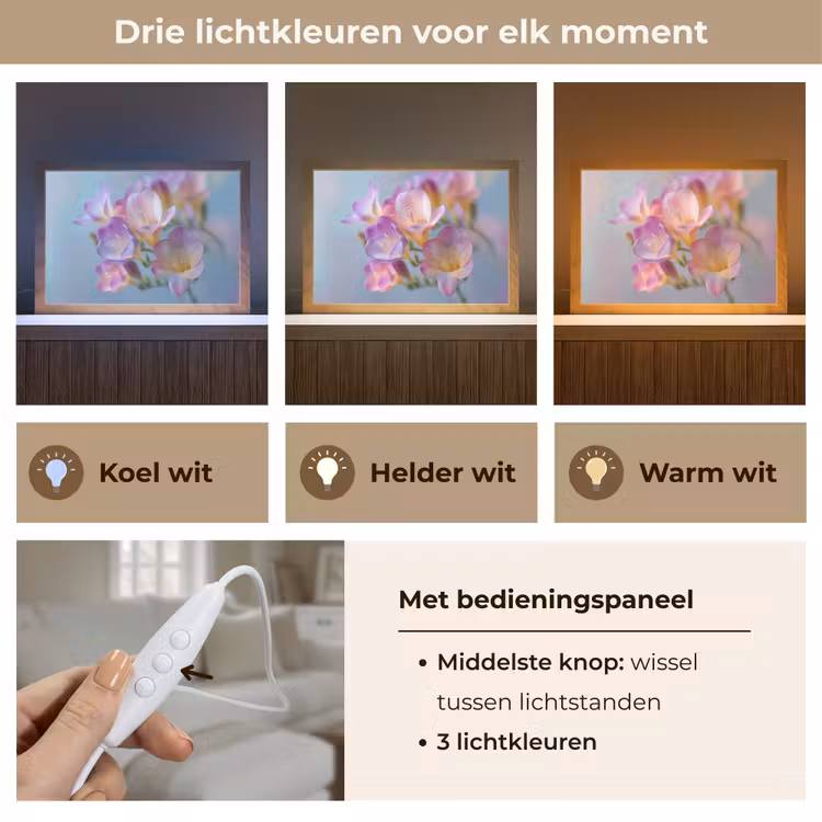 Tafellamp - Bloemen - Paars - Overloop - Meeldraden — 6