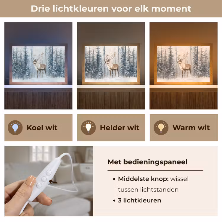 Tafellamp - Rendier - Sneeuw - Woud - Wit — 6