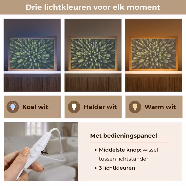 Tafellamp - Bomen - Naaldwoud - Structuur — 6