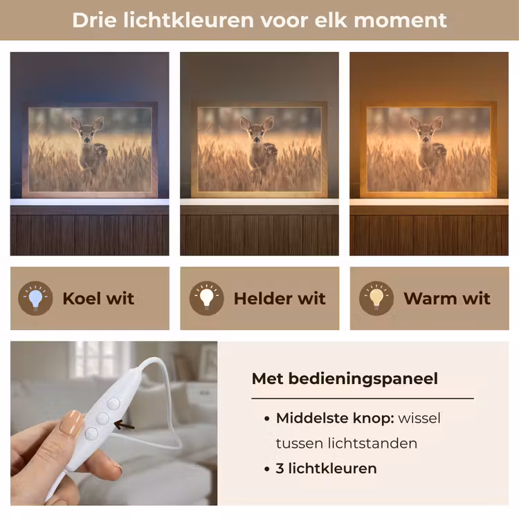 Tafellamp - Hert - Graanveld - Bruin — 6