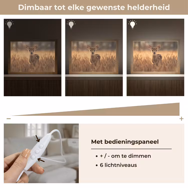 Tafellamp - Hert - Graanveld - Bruin — 8