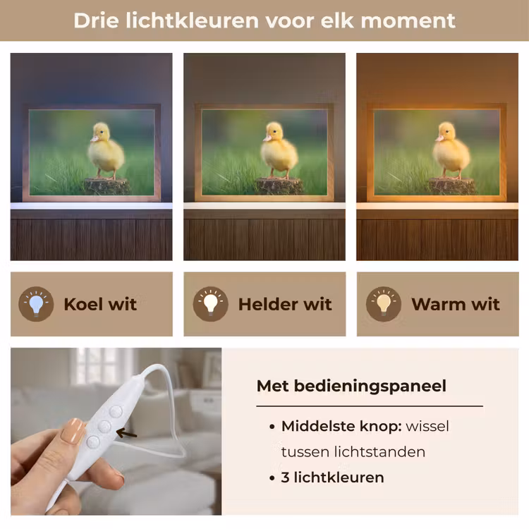 Tafellamp - Kuiken - Eend - Geel - Gras — 6