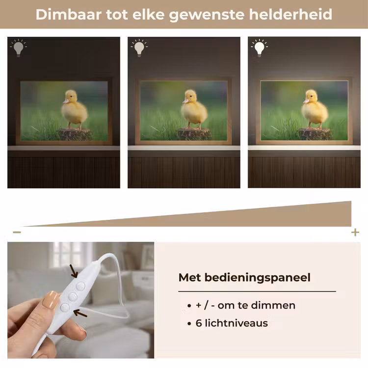 Tafellamp - Kuiken - Eend - Geel - Gras — 8