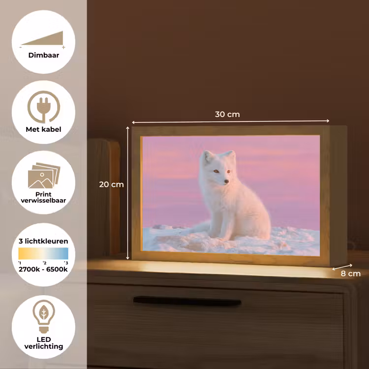 Tafellamp - Poolvos - Sneeuw - Roze — 7