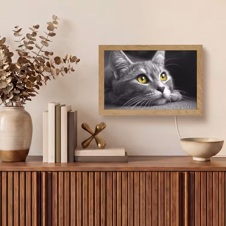 Tafellamp - Kat - Zwart - Wit - Dieren - Natuur — 3