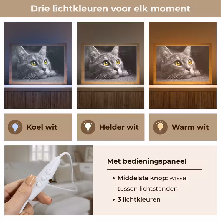 Tafellamp - Kat - Zwart - Wit - Dieren - Natuur — 6