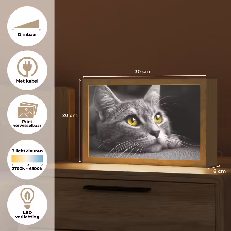 Tafellamp - Kat - Zwart - Wit - Dieren - Natuur — 7