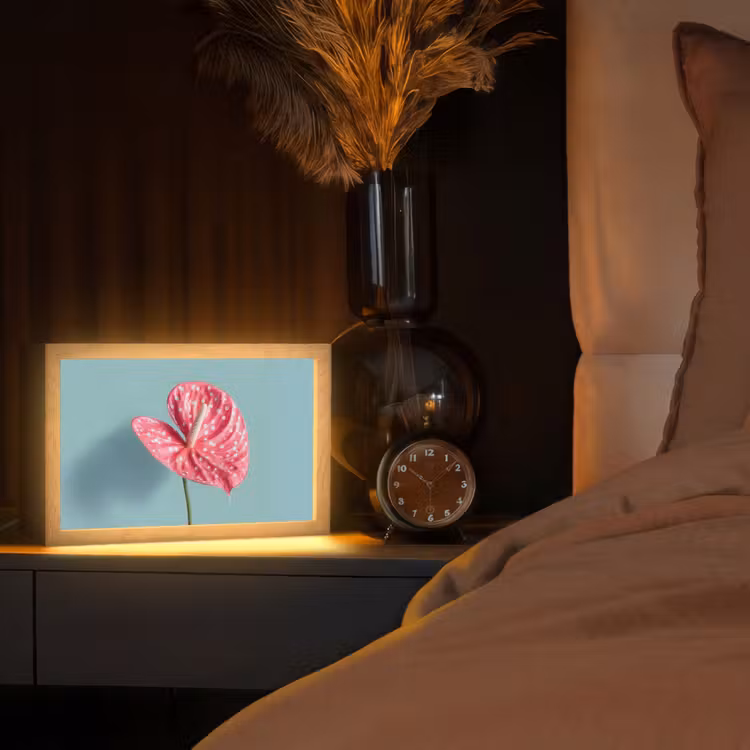 Tafellamp - Blad - Anthurium - Stippen - Roze — 2