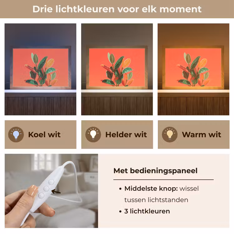 Tafellamp - Bladeren - Nerven - Oranje - Structuur — 6