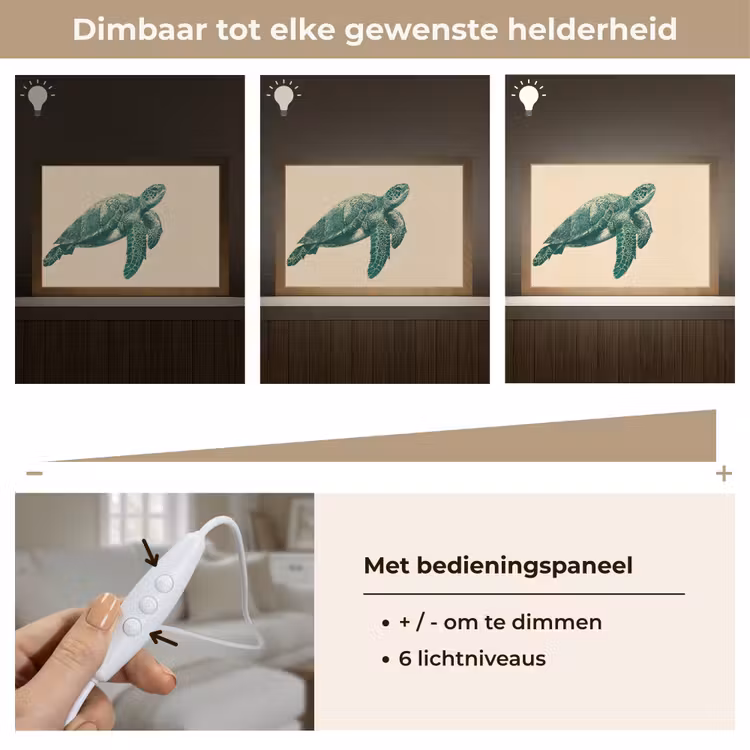 Tafellamp - Schildpad - Sierlijk - Groen - Schild — 8