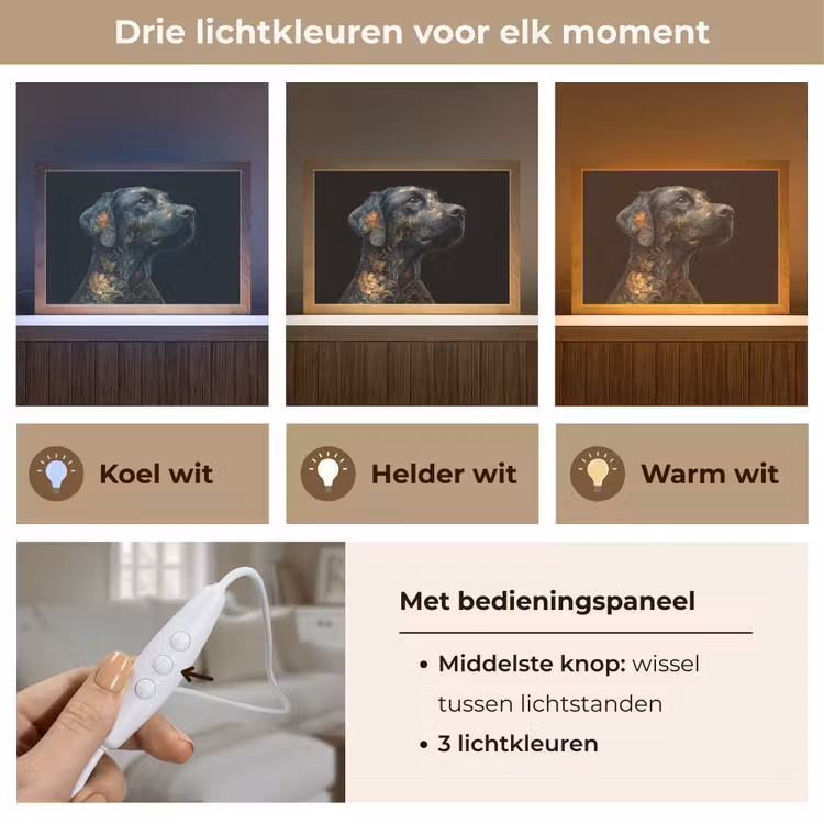 Tafellamp - Hond - Zwart - Bloemen — 6