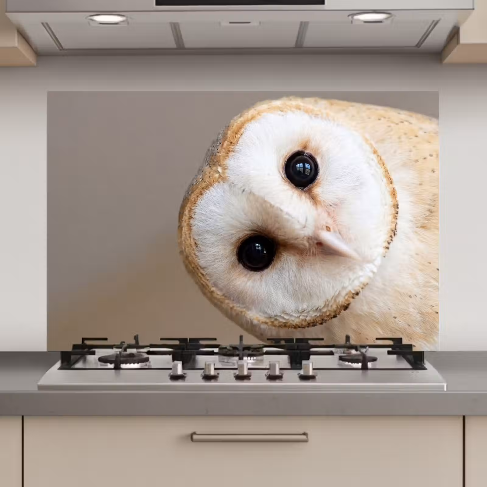 Spatscherm keuken - Uil - Bruin - Wit — 1