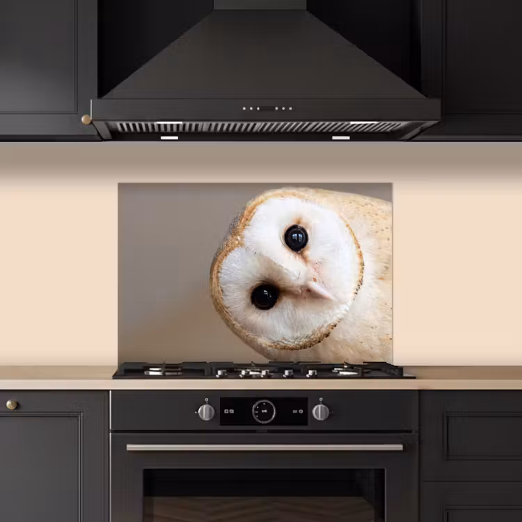 Spatscherm keuken - Uil - Bruin - Wit — 2