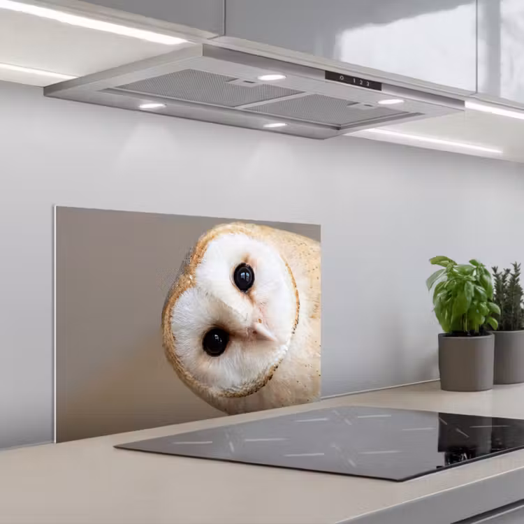 Spatscherm keuken - Uil - Bruin - Wit — 5