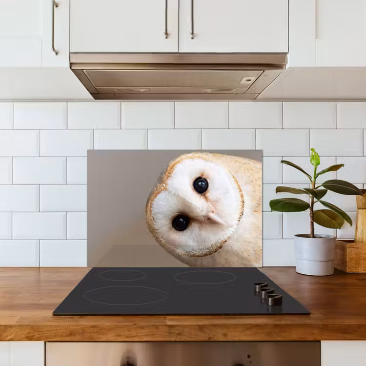 Spatscherm keuken - Uil - Bruin - Wit — 6