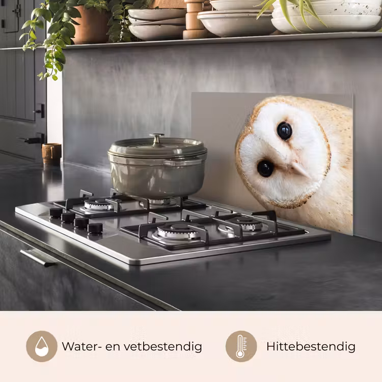 Spatscherm keuken - Uil - Bruin - Wit — 7