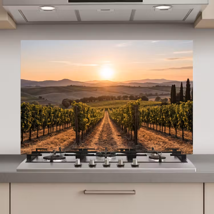 Spatscherm keuken - Wijngaard - Zonsondergang - Landschap — 1