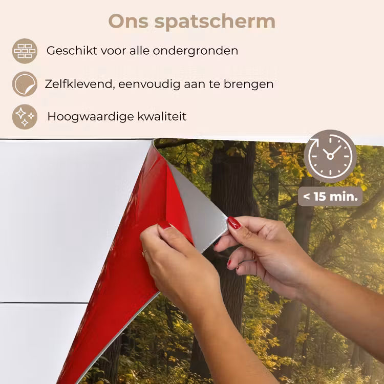 Spatscherm keuken - Zonlicht - Bospad - Bomen — 4