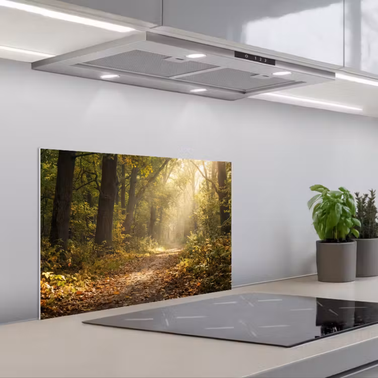 Spatscherm keuken - Zonlicht - Bospad - Bomen — 5