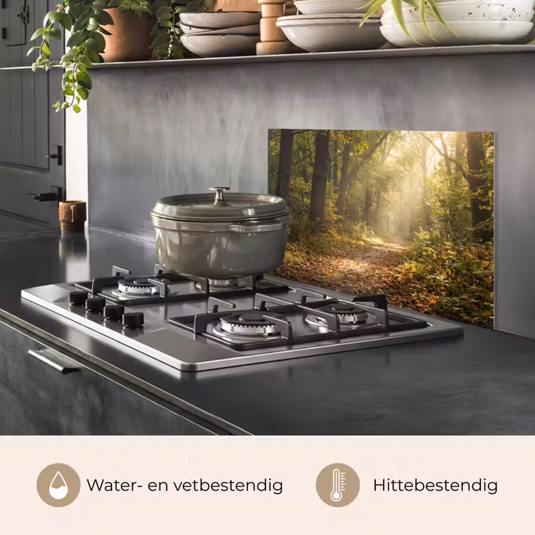 Spatscherm keuken - Zonlicht - Bospad - Bomen — 7