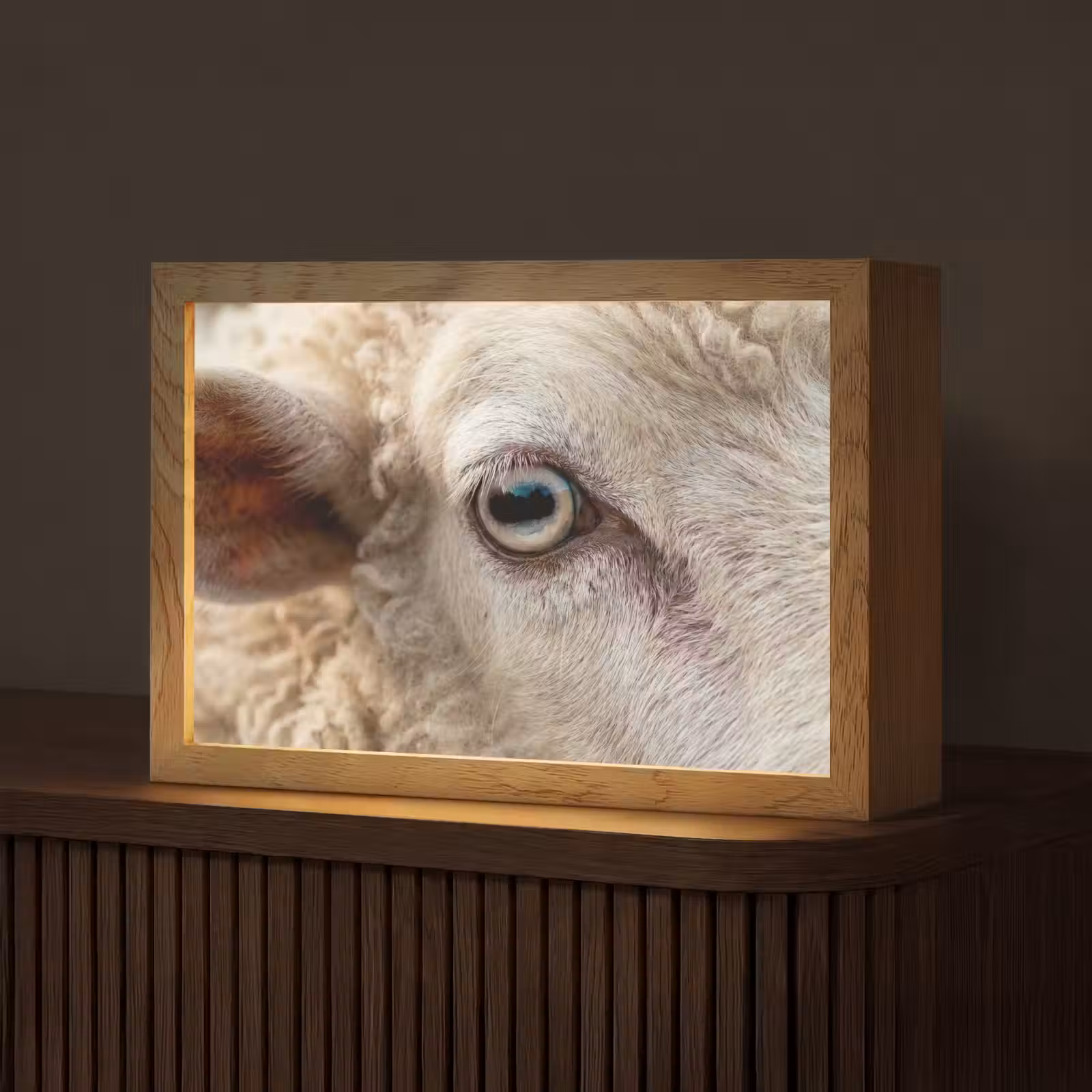 Tafellamp - Schaap - Oog - Wit — 1