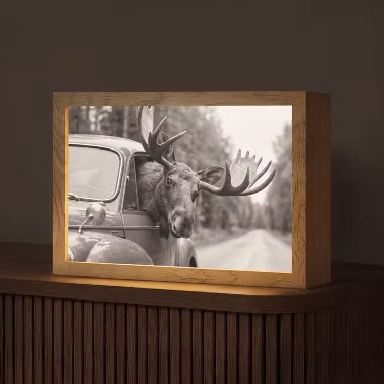 Tafellamp - Eland - Auto - Gewei - Zwart - Wit — 1