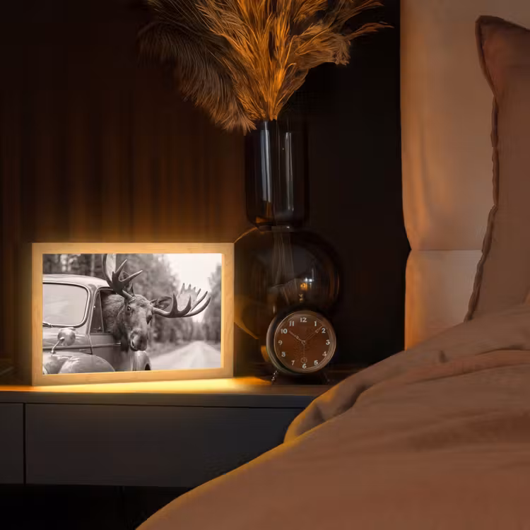 Tafellamp - Eland - Auto - Gewei - Zwart - Wit — 2