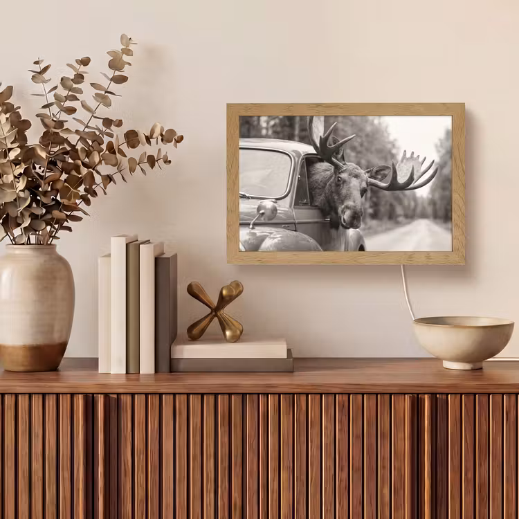 Tafellamp - Eland - Auto - Gewei - Zwart - Wit — 3