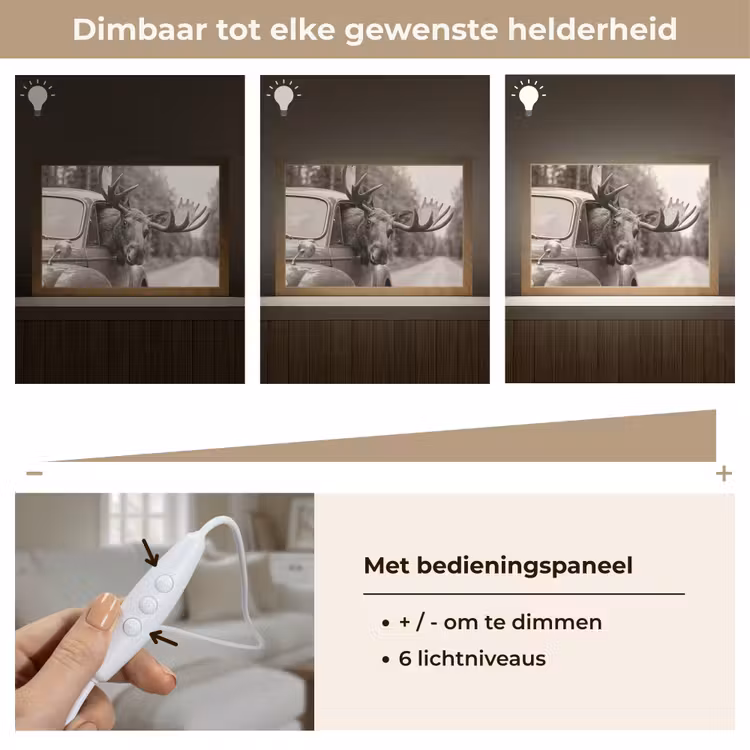 Tafellamp - Eland - Auto - Gewei - Zwart - Wit — 8
