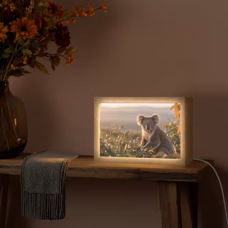 Tafellamp - Koala - Bladeren - Ochtendlicht — 4