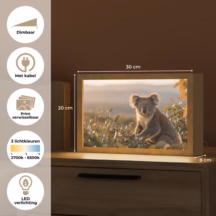 Tafellamp - Koala - Bladeren - Ochtendlicht — 7