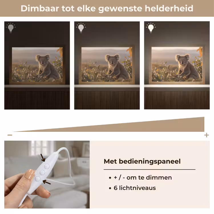 Tafellamp - Koala - Bladeren - Ochtendlicht — 8