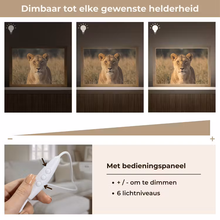 Tafellamp - Leeuwin - Gras - Geel — 8