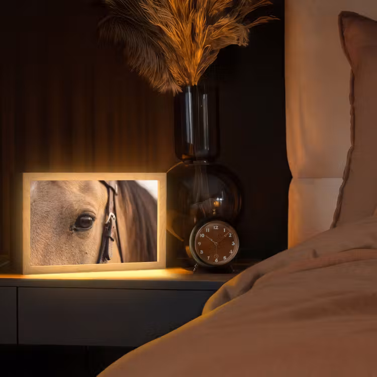 Tafellamp - Paard - Oog - Bruin — 2