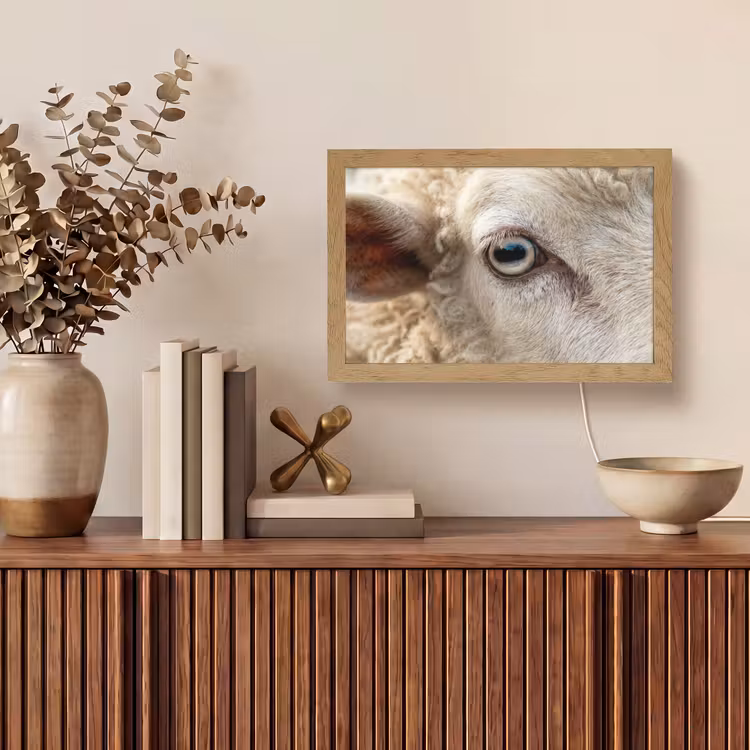 Tafellamp - Schaap - Oog - Wit — 3