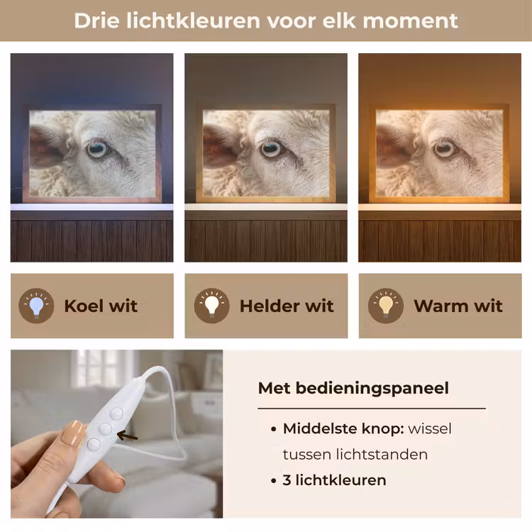 Tafellamp - Schaap - Oog - Wit — 6