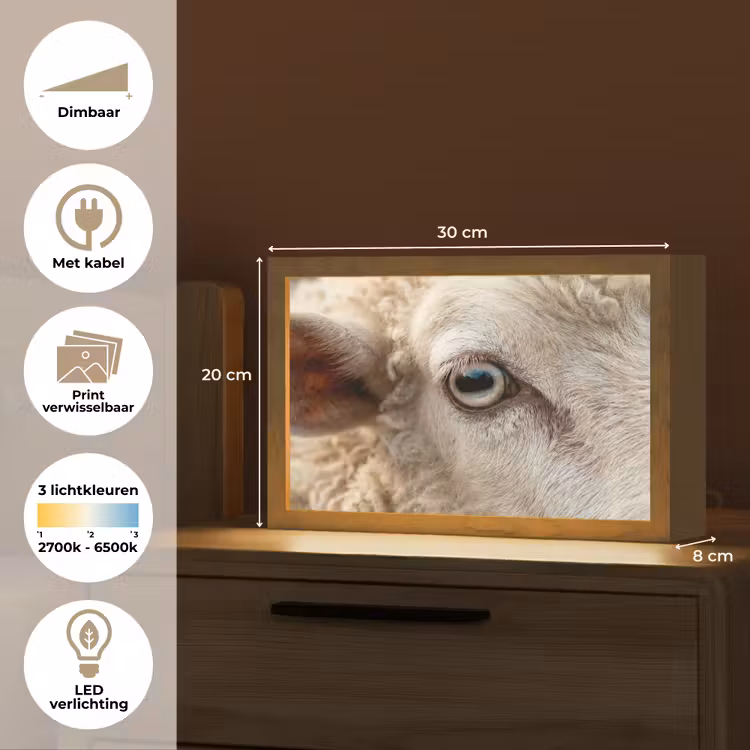 Tafellamp - Schaap - Oog - Wit — 7