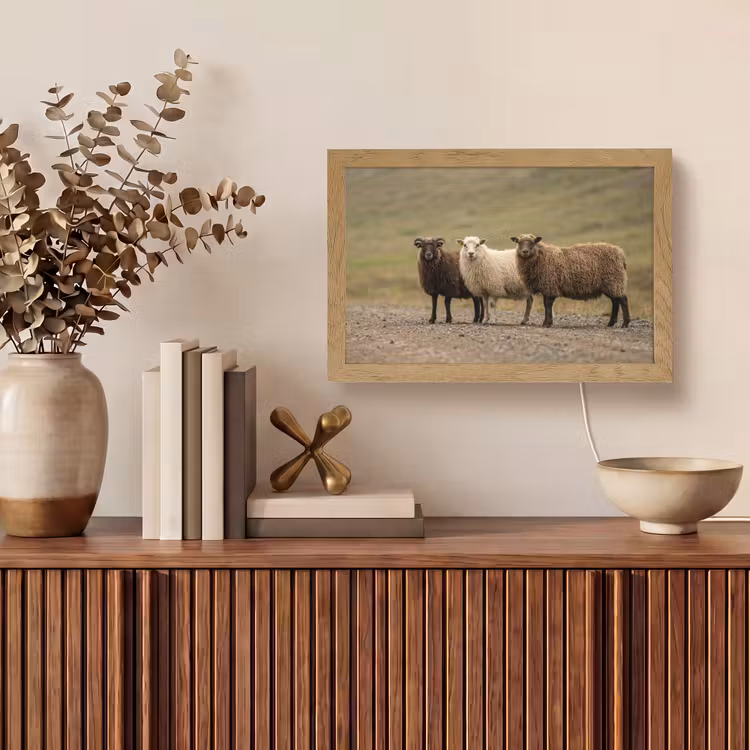 Tafellamp - Schapen - Bruin - Wit - Grindpad — 3