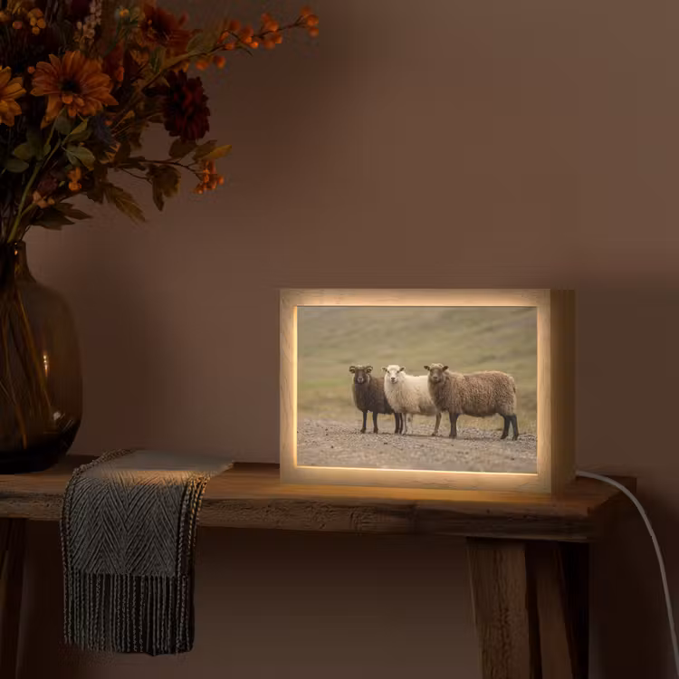 Tafellamp - Schapen - Bruin - Wit - Grindpad — 4